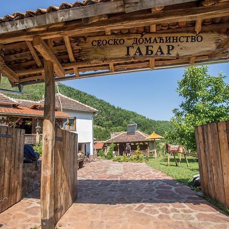 فيلا Seosko Domacinstvo „Gabar” Custica المظهر الخارجي الصورة